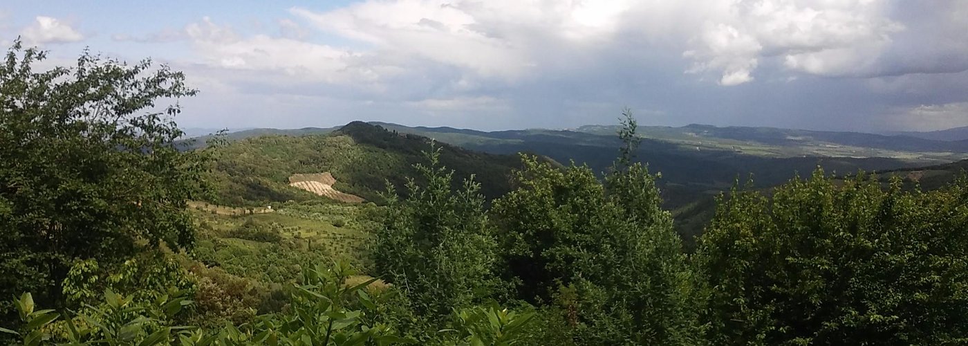 vista panoramica