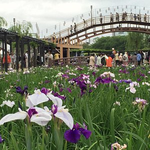 茨城県の庭園 茨城県の 10 件の庭園をチェックする トリップアドバイザー