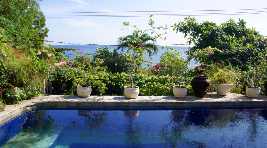 Pool with a view