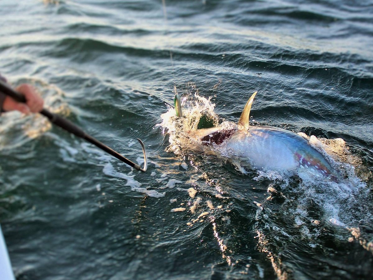 Book A Charter - Scary Good Sportfishing