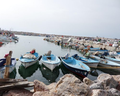 5 Meilleurs Hotels Proches University Of Mostaganem Sur Tripadvisor