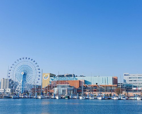 静岡のショッピングモール 静岡の 10 件のショッピングモールをチェックする トリップアドバイザー 静岡のショッピングモール 静岡の 10 件のショッピングモールをチェックする トリップアドバイザー