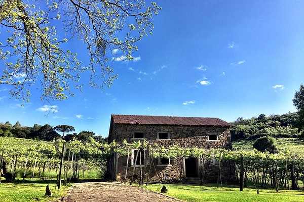 Bento Goncalves, Brazil - July 11, 2019. Company Sign On A Wood Wall With  The Casa Vanni Name, A Countryside Restaurant Near Bento Goncalves. A  Friendly Country Town Famous For Its Wine