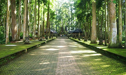 Sangeh Tourism (2024): Best of Sangeh, Indonesia - Tripadvisor