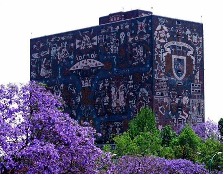 JARDINES DEL PEDREGAL DE SAN ANGEL (Ciudad de México) - Qué SABER antes de ir JARDINES DEL PEDREGAL DE SAN ANGEL (Ciudad de México) - Qué SABER antes de ir