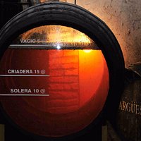 Bodegas Argüeso, Calle Mar. El velo de flor