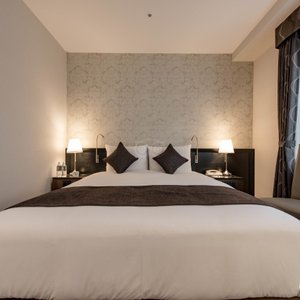 The Designer's Double Room at the Sir Winston Hotel