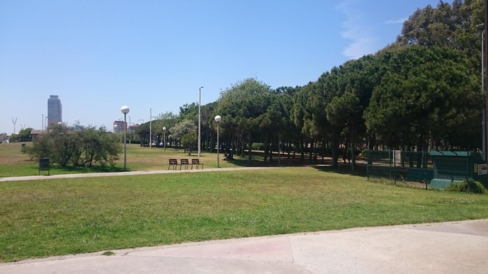 Imagen 10 de Parque del Centro de Poblenou