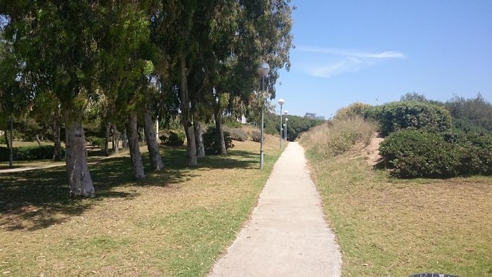 Imagen 9 de Parque del Centro de Poblenou