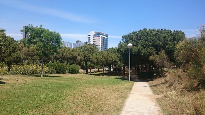 Imagen 5 de Parque del Centro de Poblenou