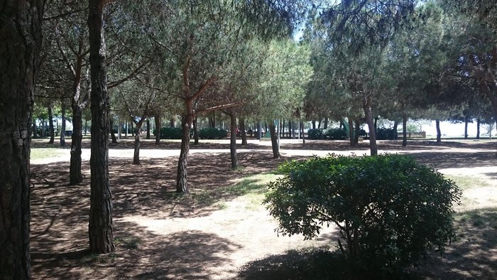 Imagen 4 de Parque del Centro de Poblenou