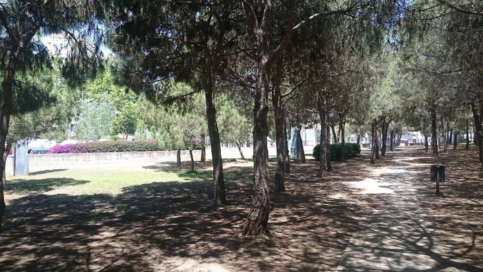 Imagen 3 de Parque del Centro de Poblenou