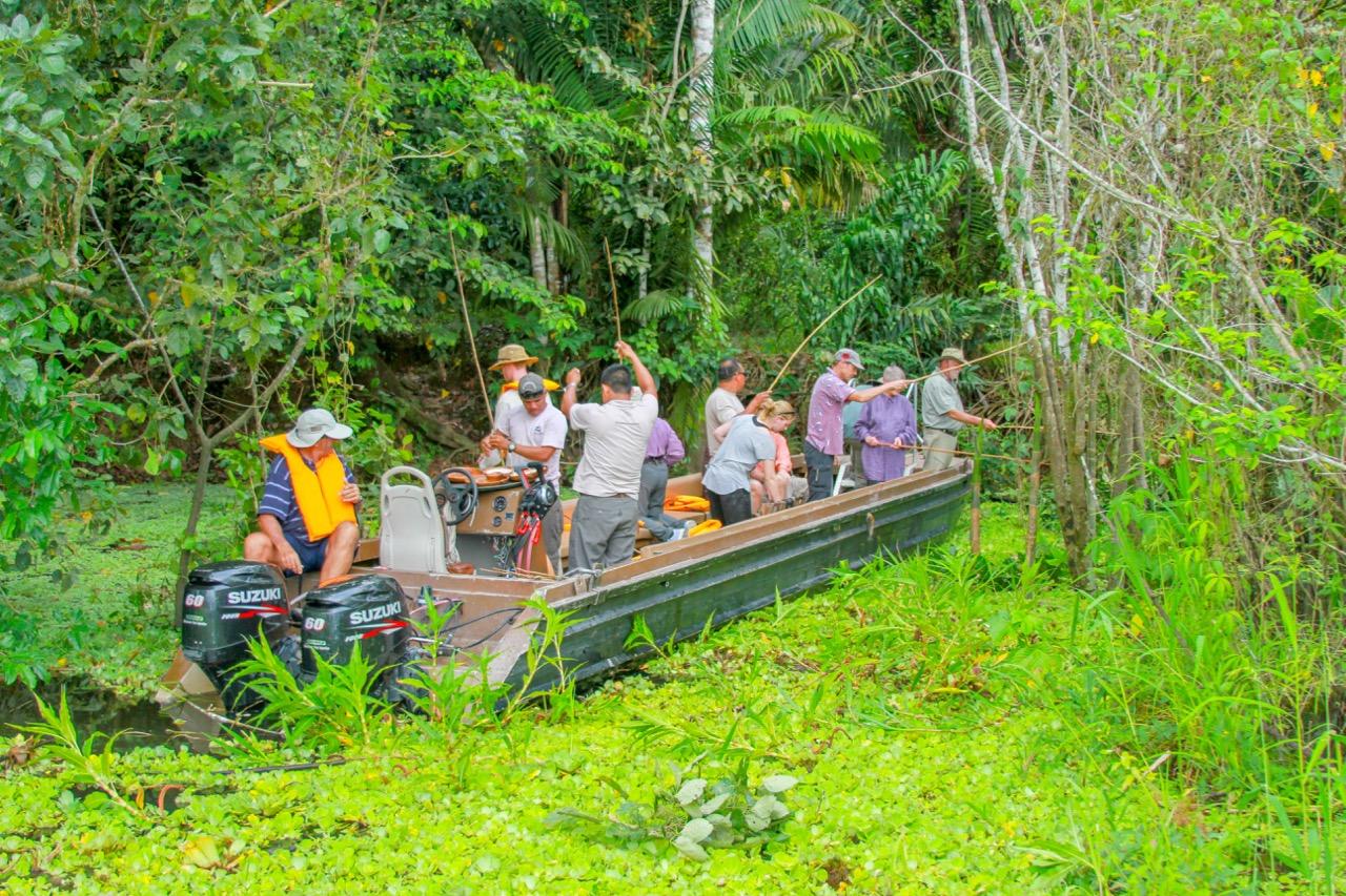 JUNGLE EXPERIENCES (Iquitos) - 2022 Qué Saber Antes De Ir - Lo Más ...