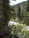 Odessa and Fern Lake via Fern Lake Trail: 3.001 fotos - Colorado