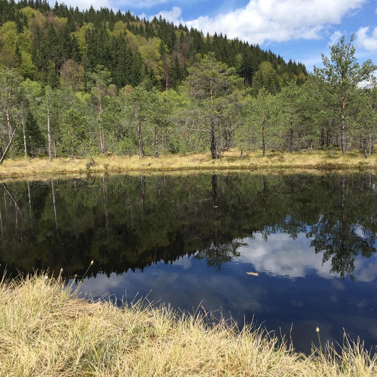 MOHOS PEAT-BOG (Baile Tusnad) - All You Need to Know BEFORE You Go