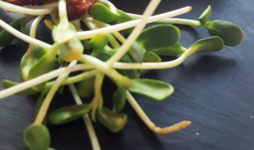 Erbazzone della tradizione con ricotta di bianca modenese e pomodori essiccati