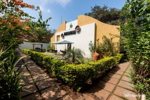 The Banyan Soul in Anjuna, image may contain: Villa, Hotel, Hedge, Garden
