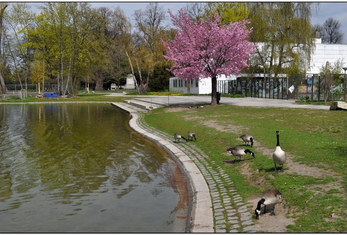 Stadtpark, Нюрнберг: лучшие советы перед посещением - Tripadvisor