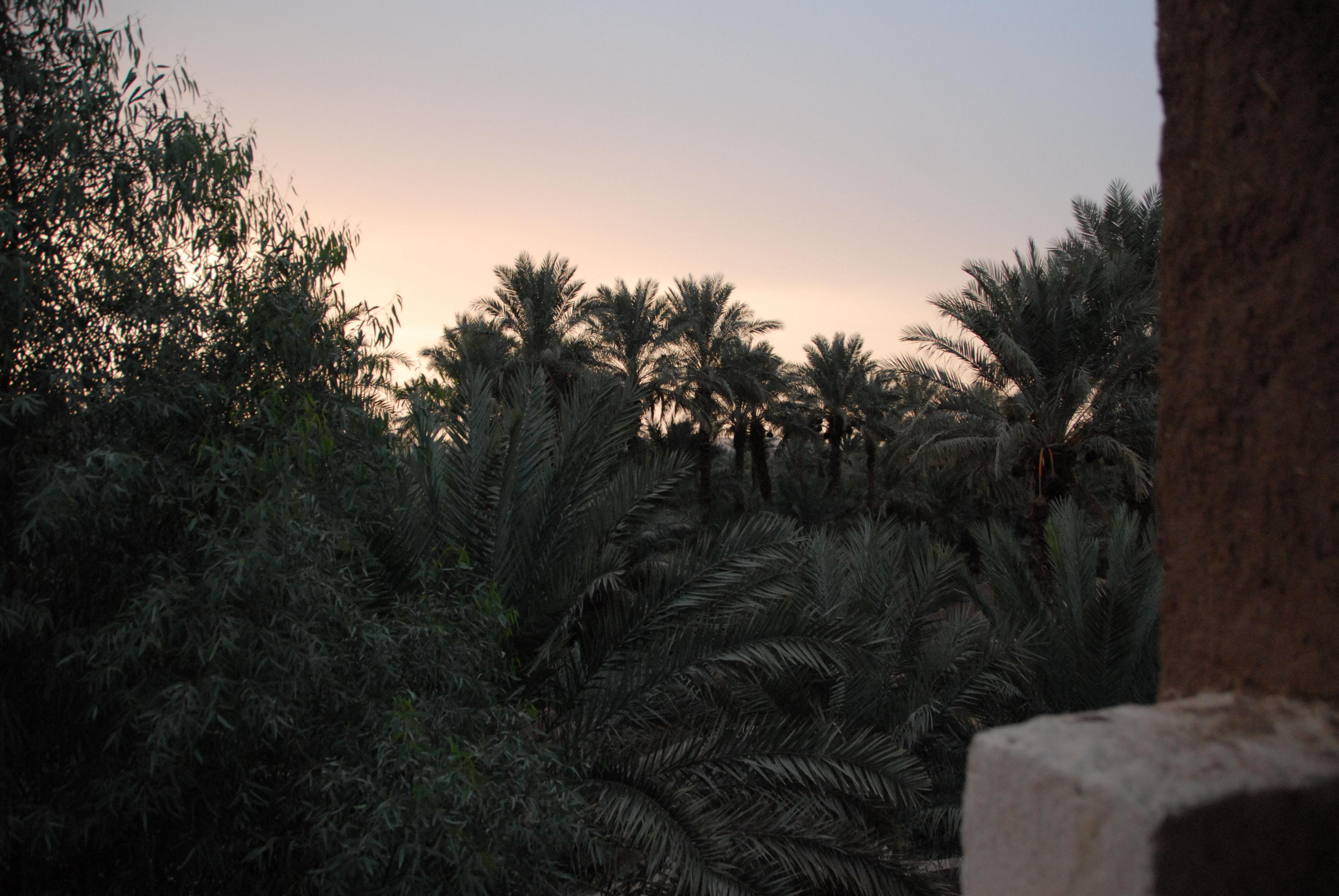 Hotel photo 32 of Villa Zagora Ma Villa au Sahara.