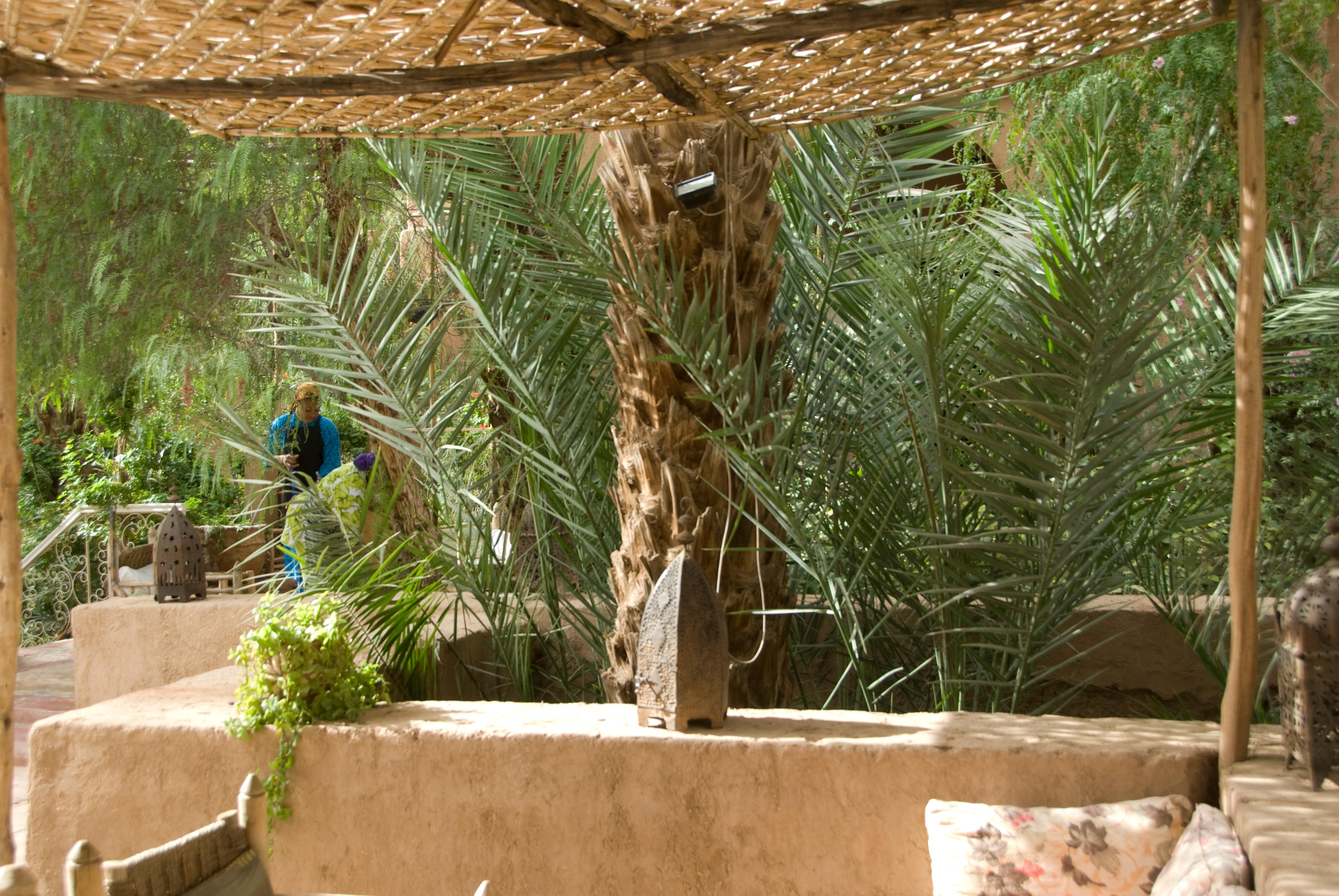 Hotel photo 16 of Villa Zagora Ma Villa au Sahara.