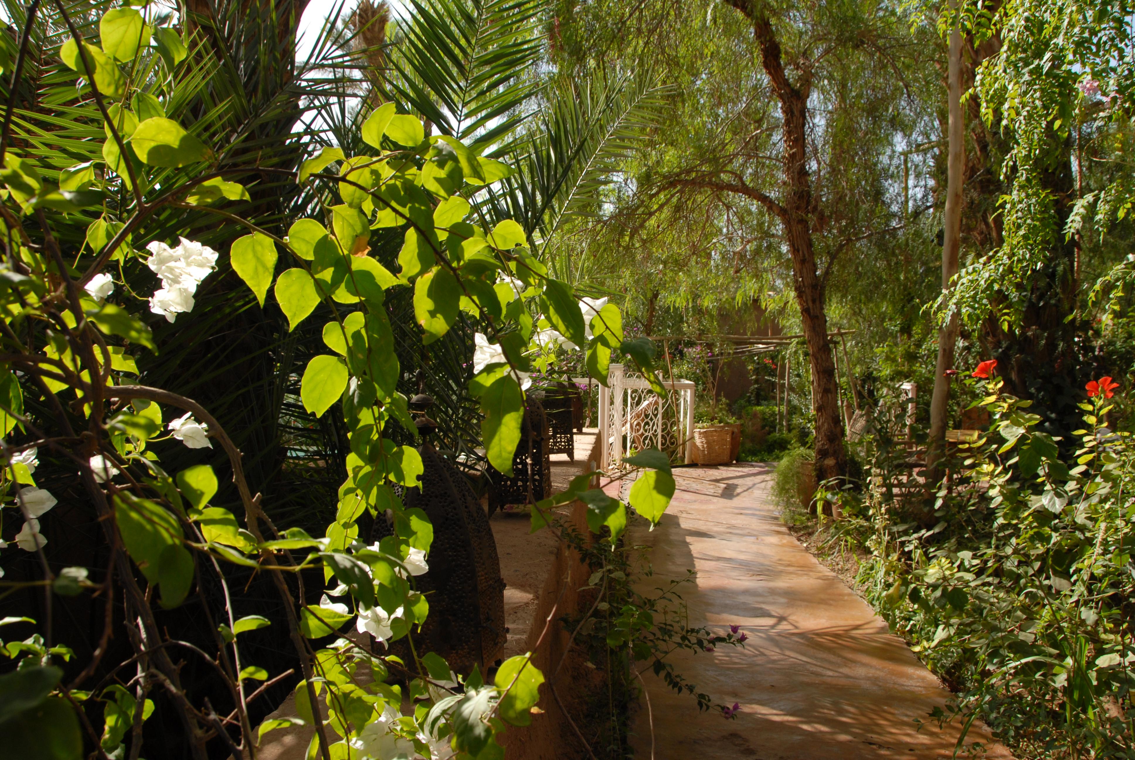Hotel photo 8 of Villa Zagora Ma Villa au Sahara.