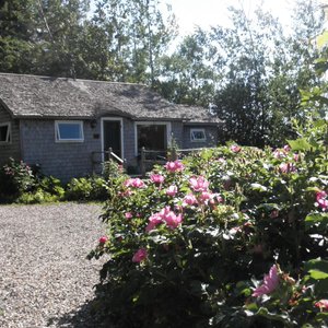The Cottage