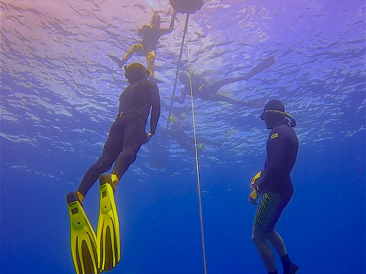 Freedive Hawaii - All You Need to Know BEFORE You Go (2024)