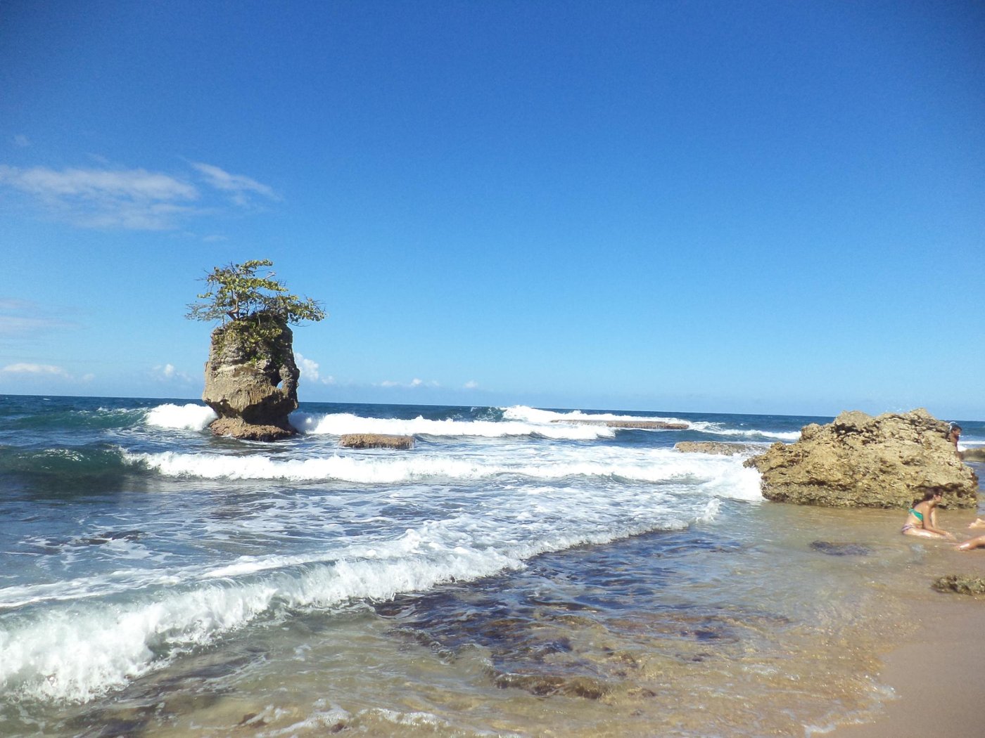 LA PAZ DEL CARIBE (Cocles, Costa Rica) - foto's, reviews en ...