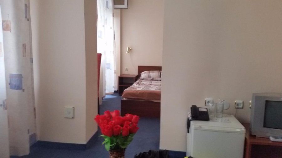 Spacious room, note the nice Plastic Roses...