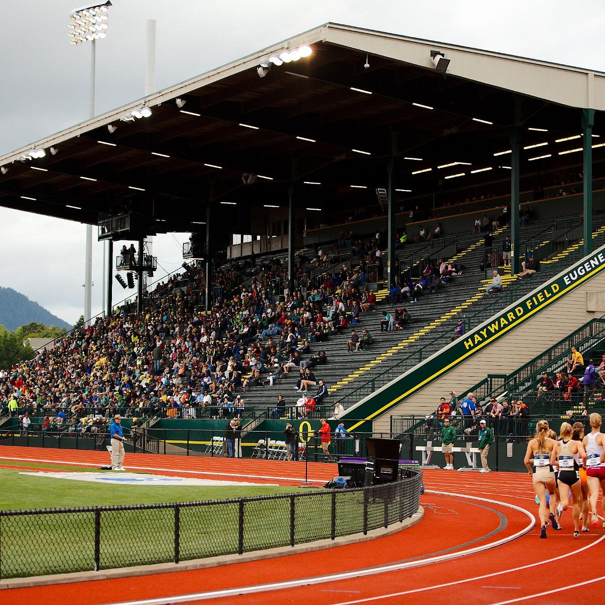 Hayward Field (Eugene) All You Need to Know BEFORE You Go