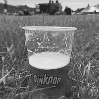 Pinkpop Festival