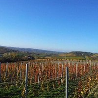 Dalla produzione alla vendita