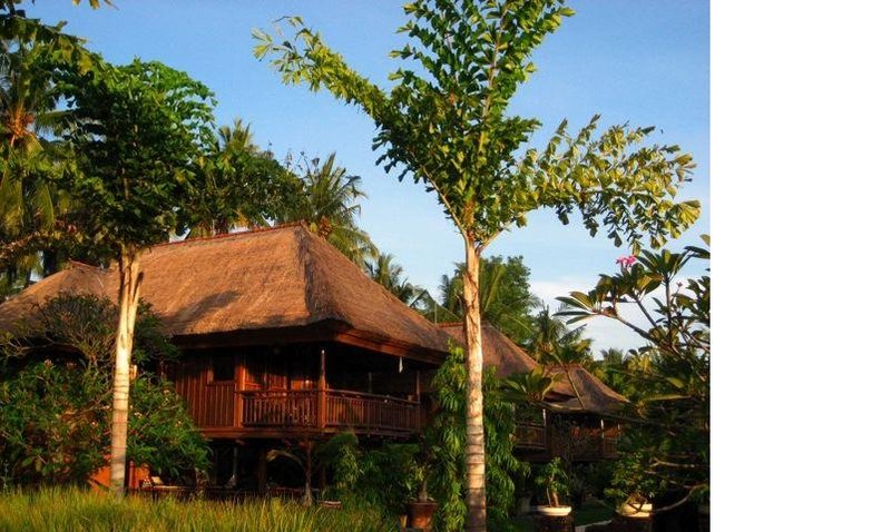 Small paradise near the Ricefields