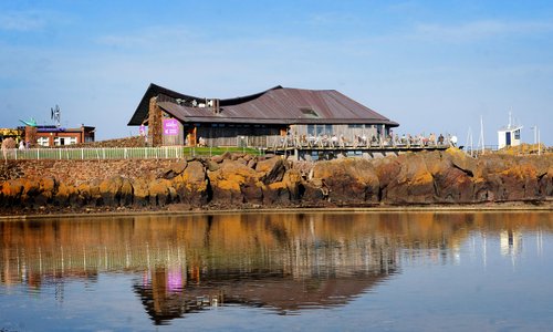 The Scottish Seabird Centre
