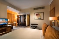 Hotel photo 39 of Swissotel Al Murooj Dubai.