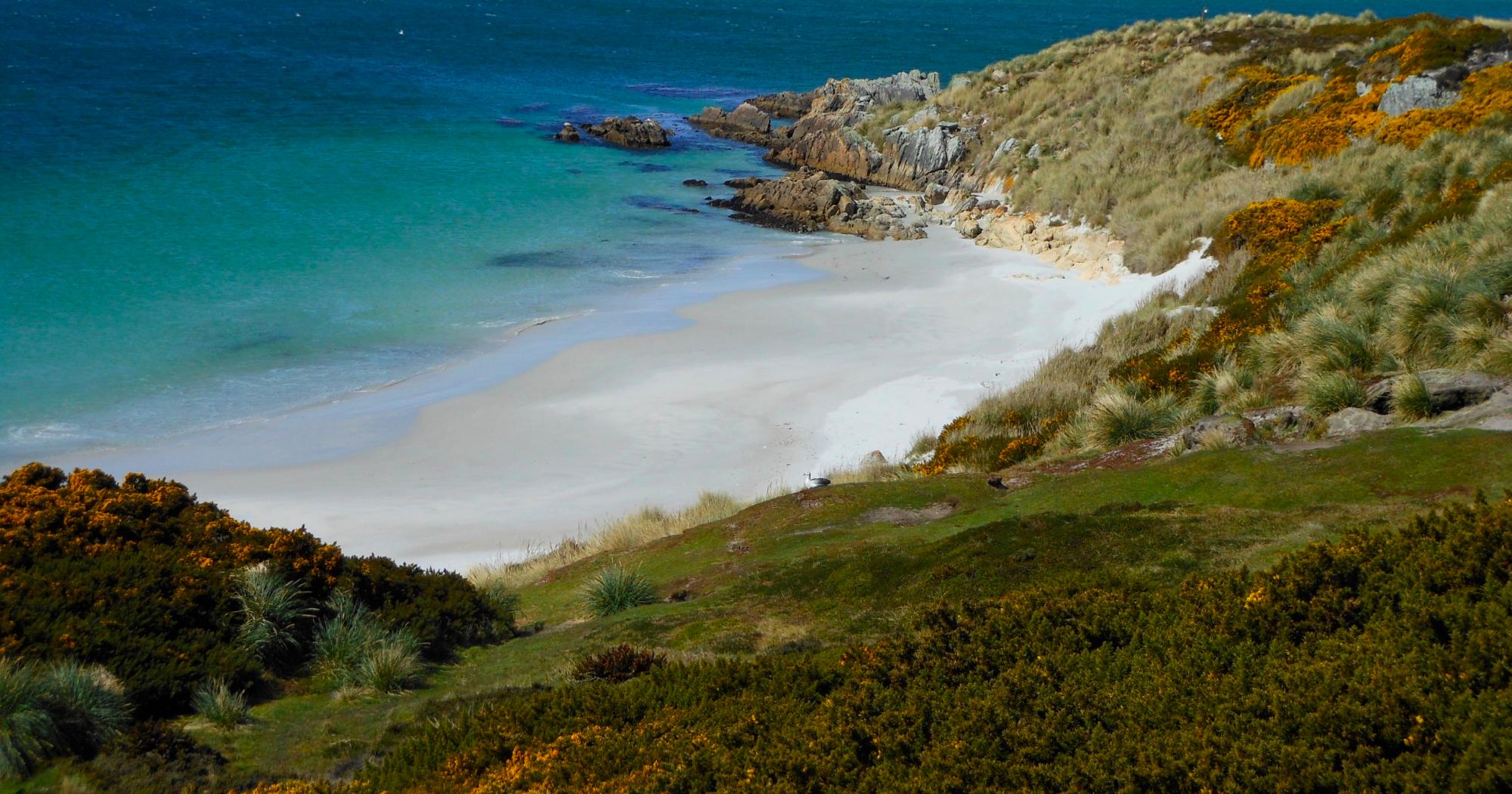 Falkland Islands 2021 Best Of Falkland Islands Tourism Tripadvisor   Looking Down On To Gypsy 