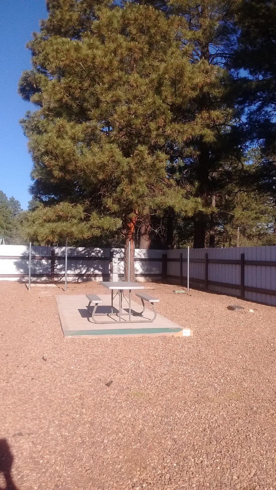 Overgaard Resort Rv Park Campground Reviews Az Tripadvisor