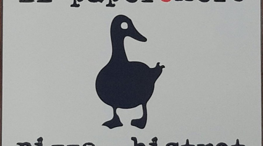 Il papero nero
