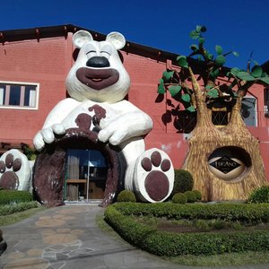 Melhor mate do Brasil! 🇧🇷🇹🇩 - Picture of Materia Capitao Rodrigo,  Gramado - Tripadvisor