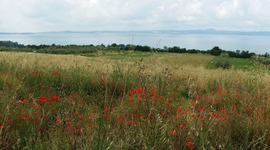 Scorcio sul Lago di Bolsena
