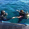 Things To Do in Fan Diving Hierro, Restaurants in Fan Diving Hierro