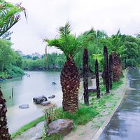 Rainy day in daning