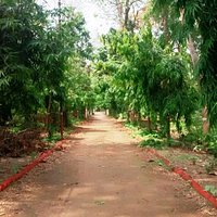 Entrance path of the wildlife sanctuary.