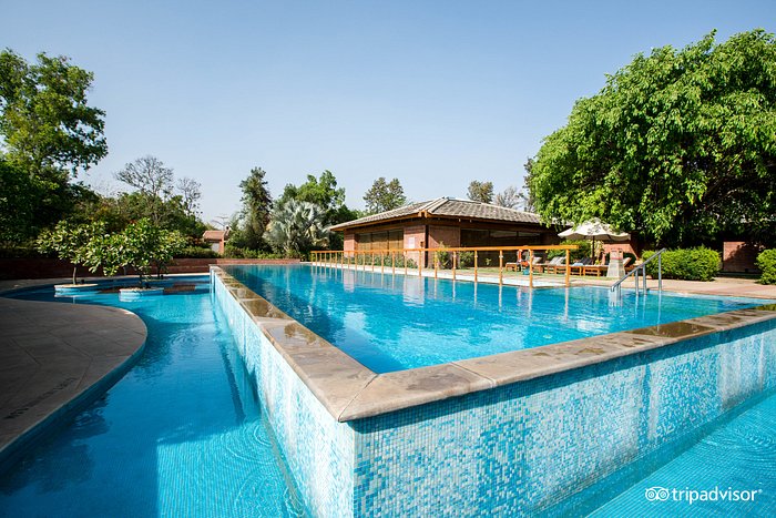 Lap Pool at the Pool at the Westin Sohna Resort and Spa