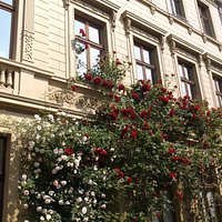 Im Luisenviertel