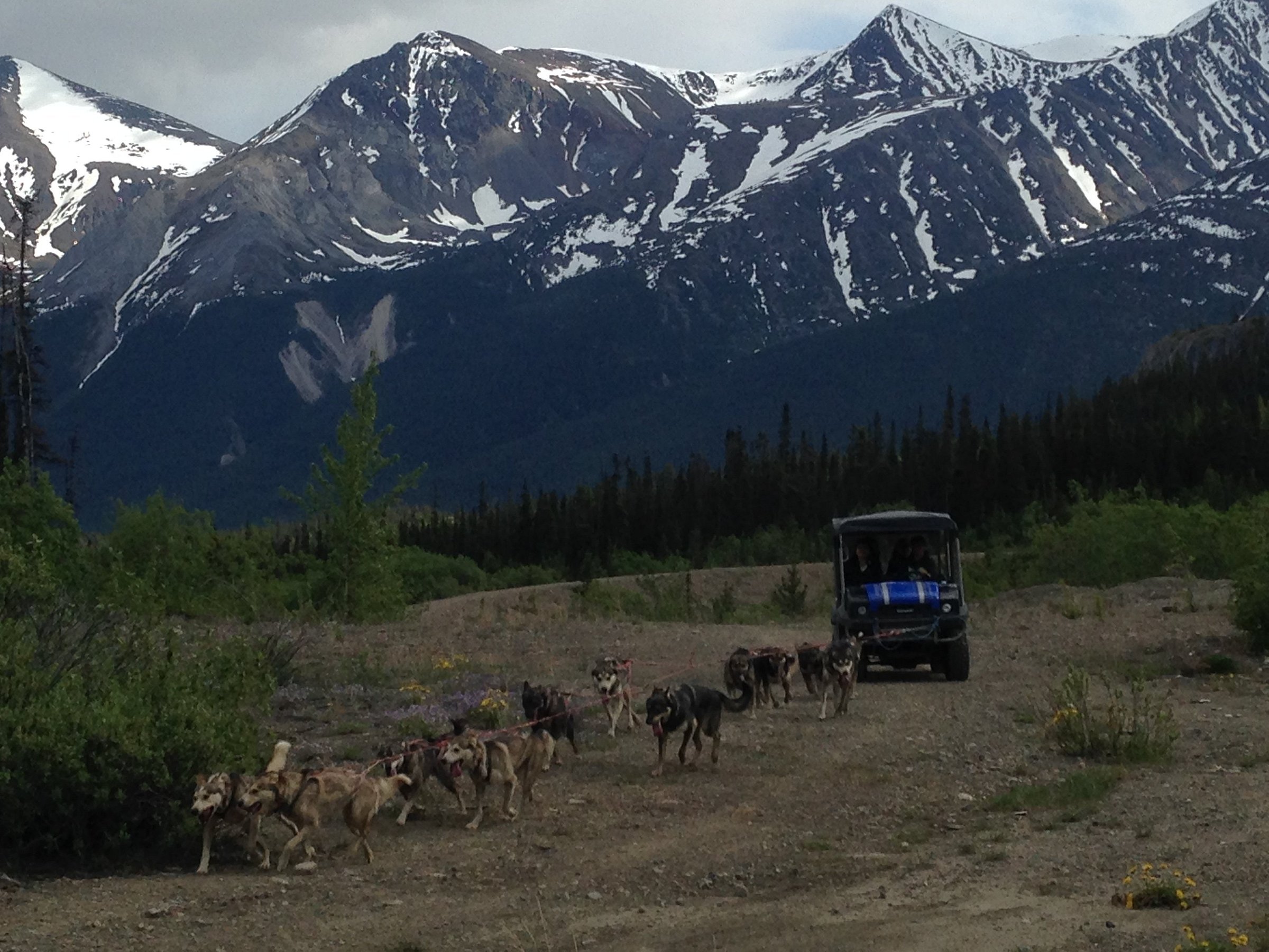 skagway ranger tours