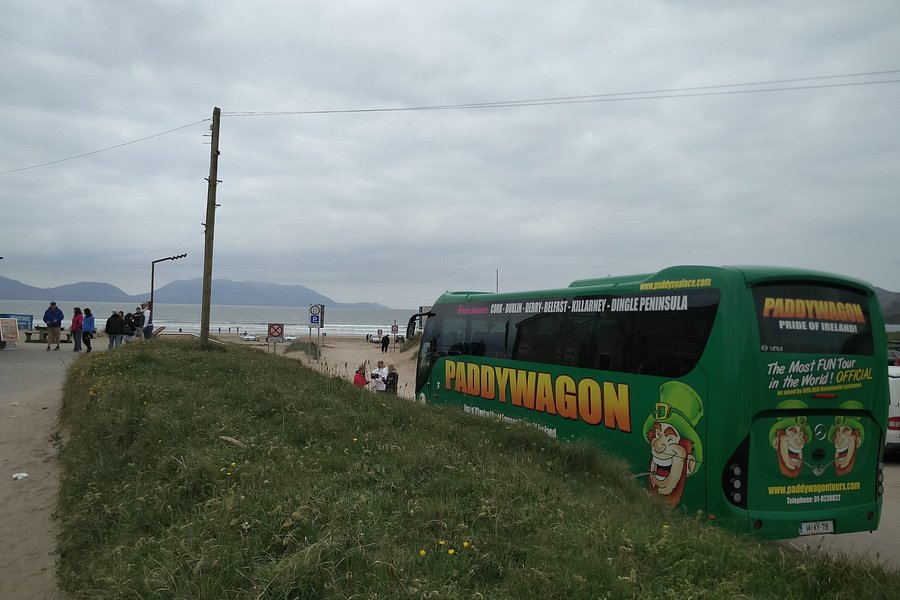 paddywagon day tours from cork