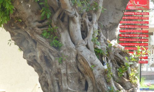 Shashamane, Äthiopien Tourismus in Shashamane Tripadvisor