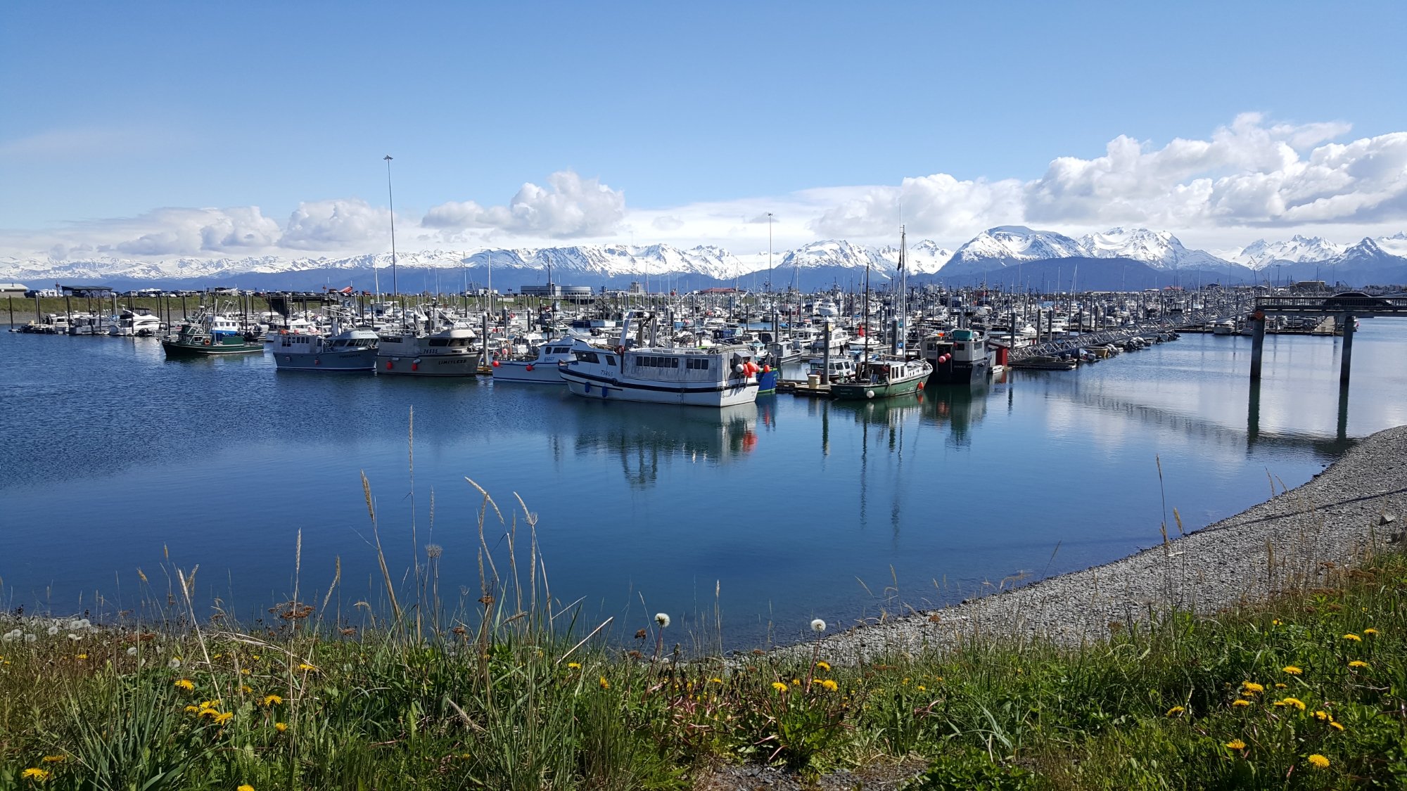 Homer Spit (AK) - Review - Tripadvisor