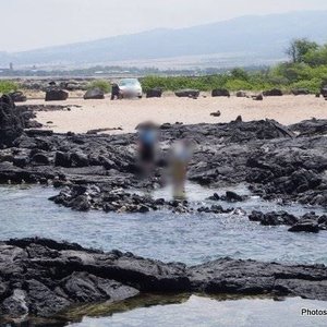 21年 ハワイ島で絶対外さないおすすめ観光スポットトップ10 定番から穴場まで トリップアドバイザー